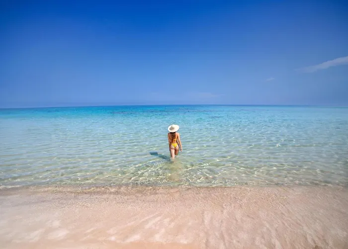 Apartament Leone Flat Ii 30' Porto Cervo & Free Parking